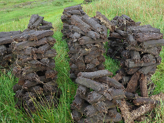 Getrockneter Schwarztorf