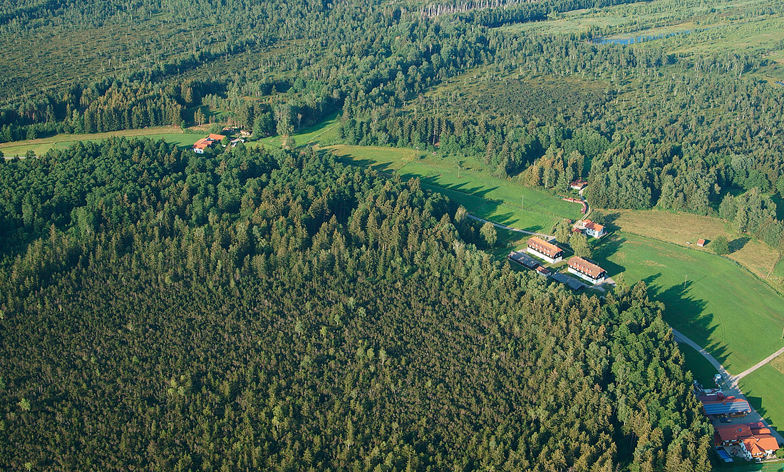 Moorrandwälder