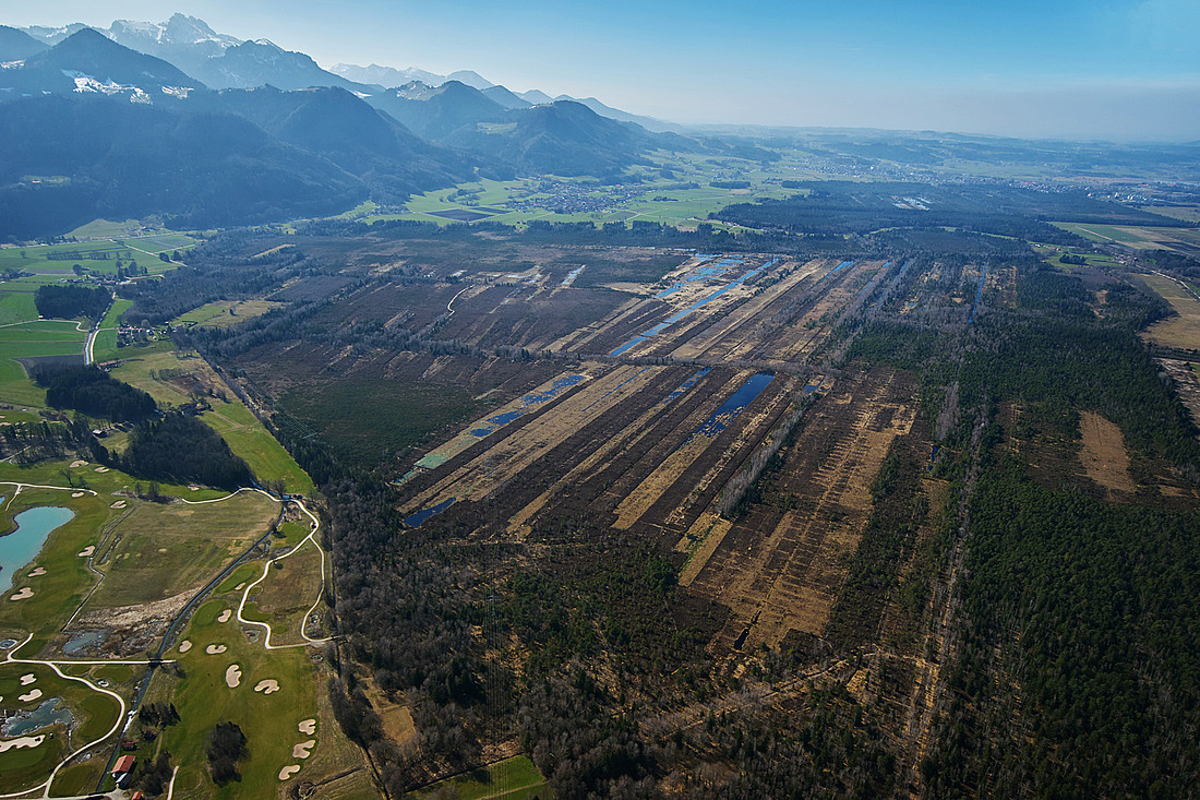 Die Kendlmühlfilzen, ein Alpenrandmoor, Blick nach Westen.
