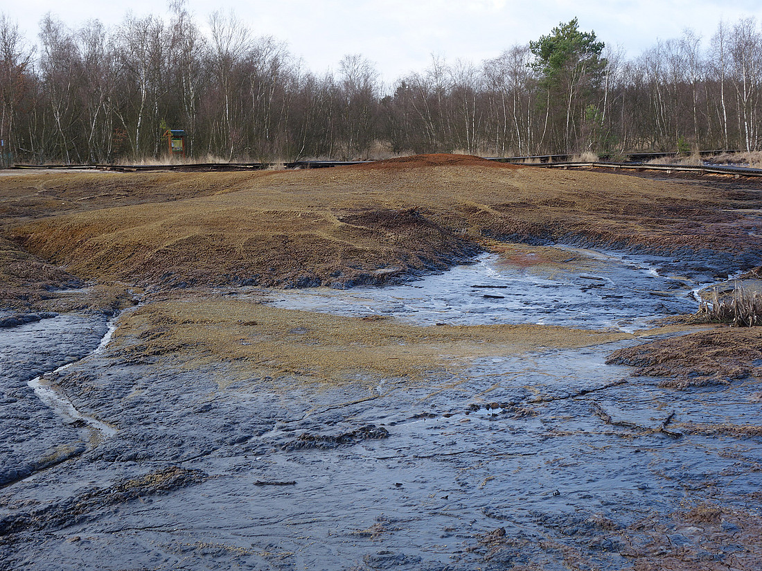 Torf-Kieselgur-Mineralmoor von Soos