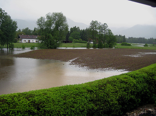Hochwasser im "Unterlauf" der Kendlmühlfilzen am Torfbahnhof,