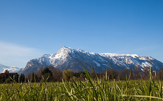 Moorabbaugebiet der Fa. Sonnenmoor.