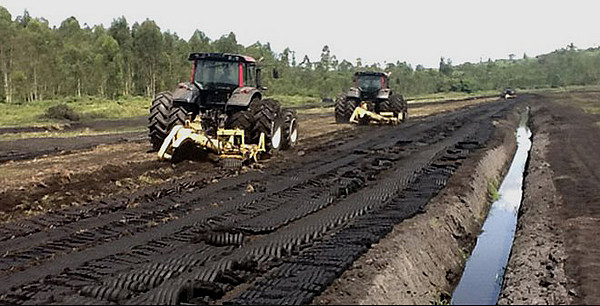Torfabbau/Ruanda.
