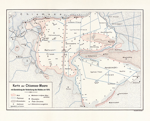 Waldverteilung in den südlichen Chiemsee-Mooren um 1810