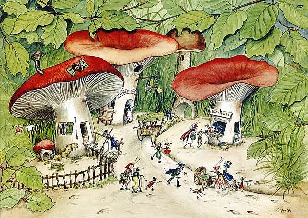 Illustration Bodenleben