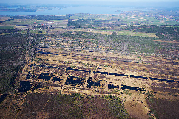 Überblick über das Torf-Abbaugebiet in der Kendlmühlfilzen. Oberer Bildrand: Chiemsee, kultivierte Moorflächen (siehe A).