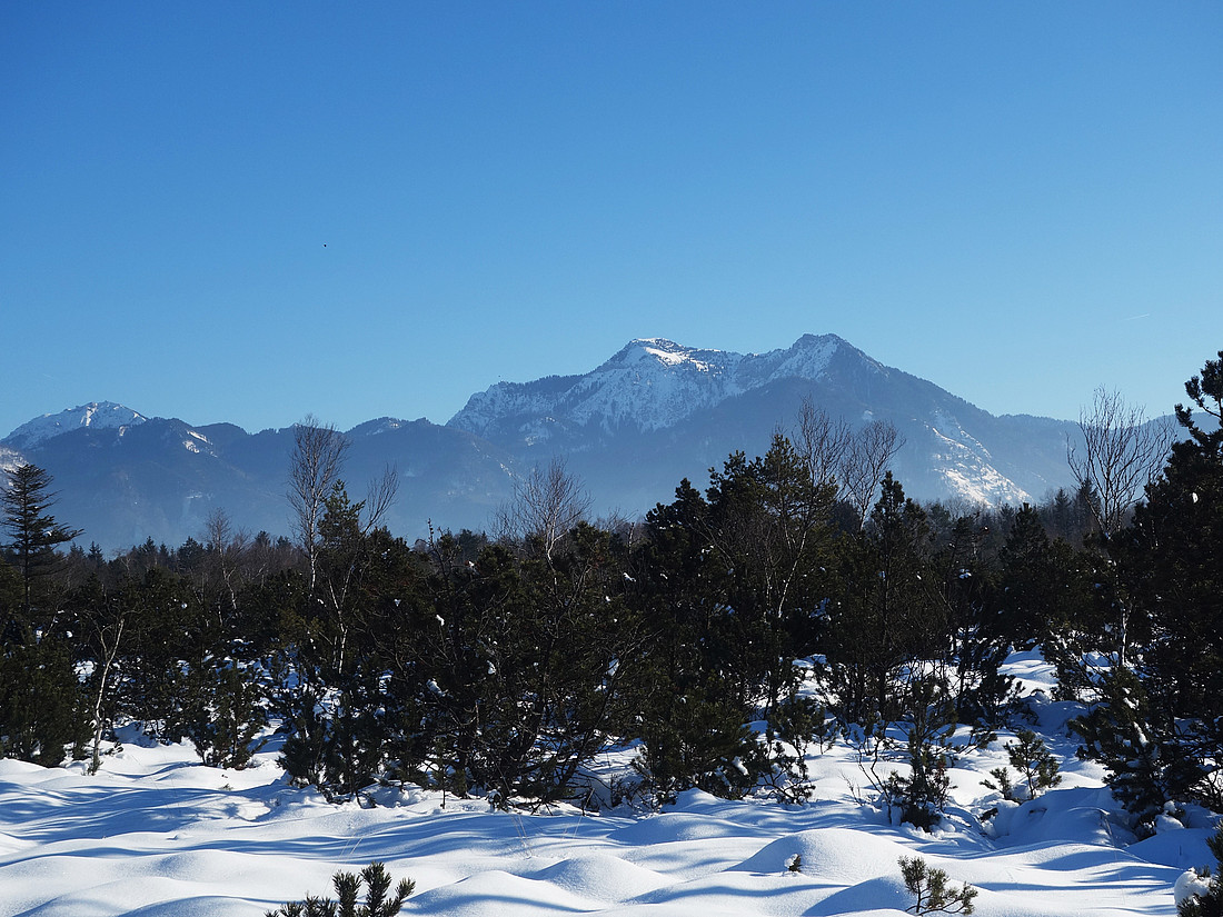 Winterstimmung in der Kendlmühlfilzen, Blick auf Hochgern.