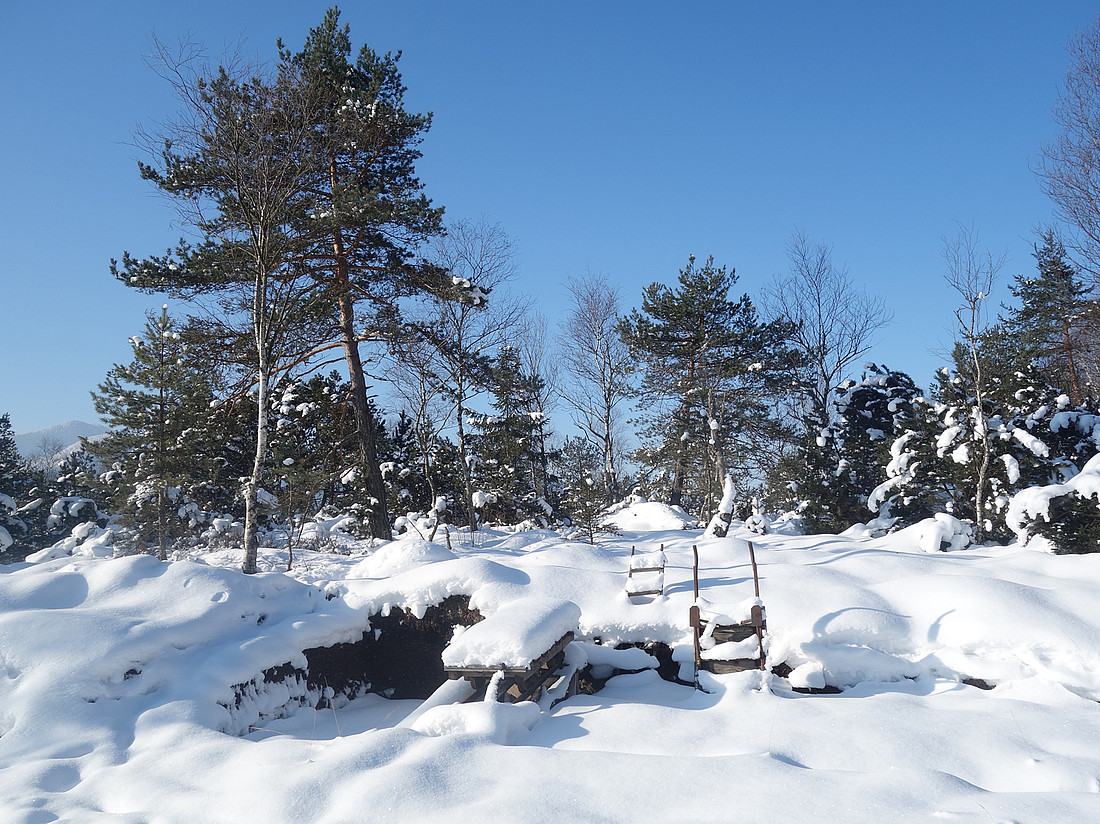 Torfstich hat Ruh, Winter 2016/17.